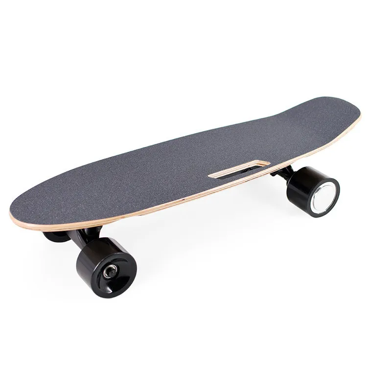 
Elektro Inteligent Electric Motor Eletric Electric Skateboard Dual Motor Mount Kit Remote Controller Electrico For Sale 