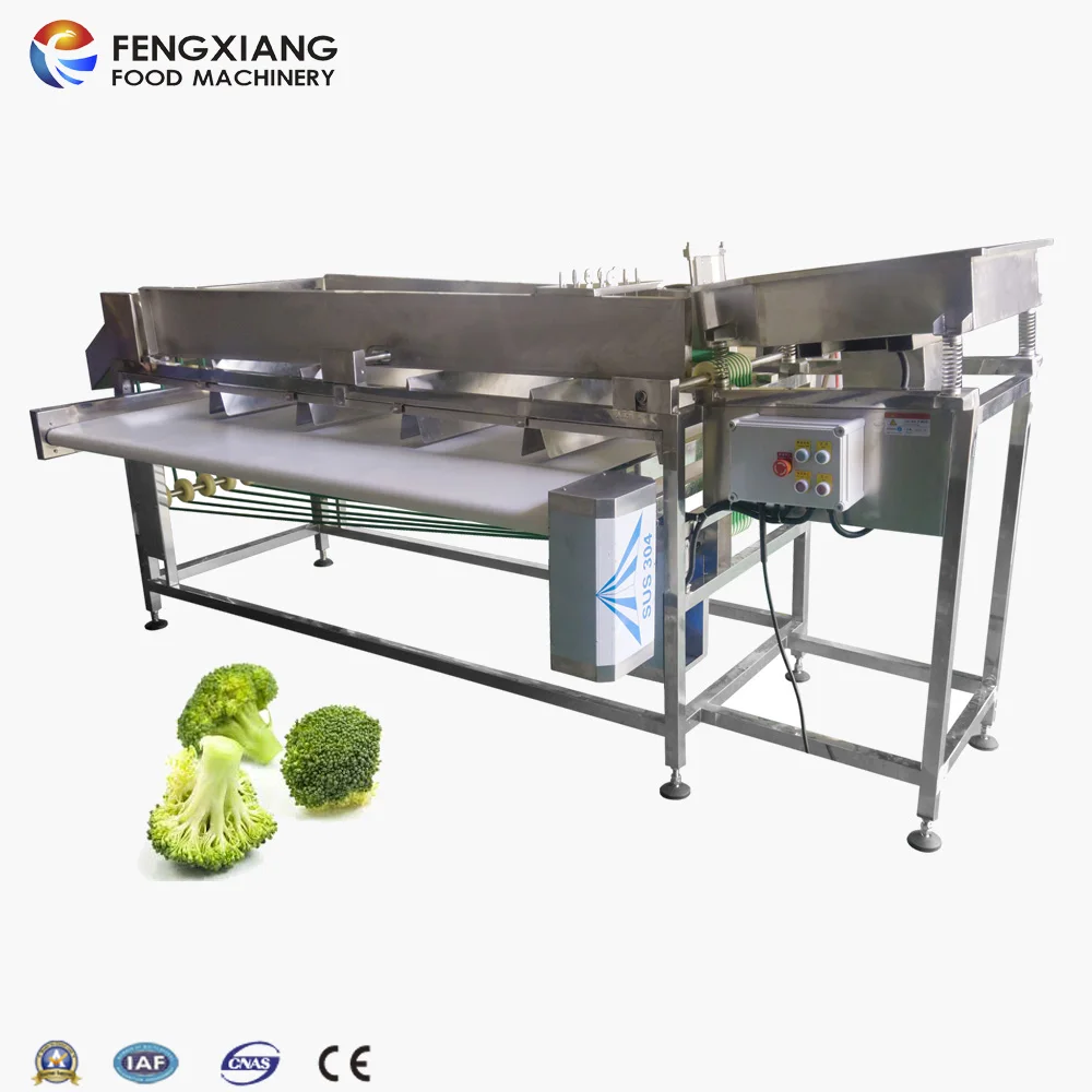 Vegetable fruit Grading Machine Broccoli Sorting  Potato Sorter Machine
