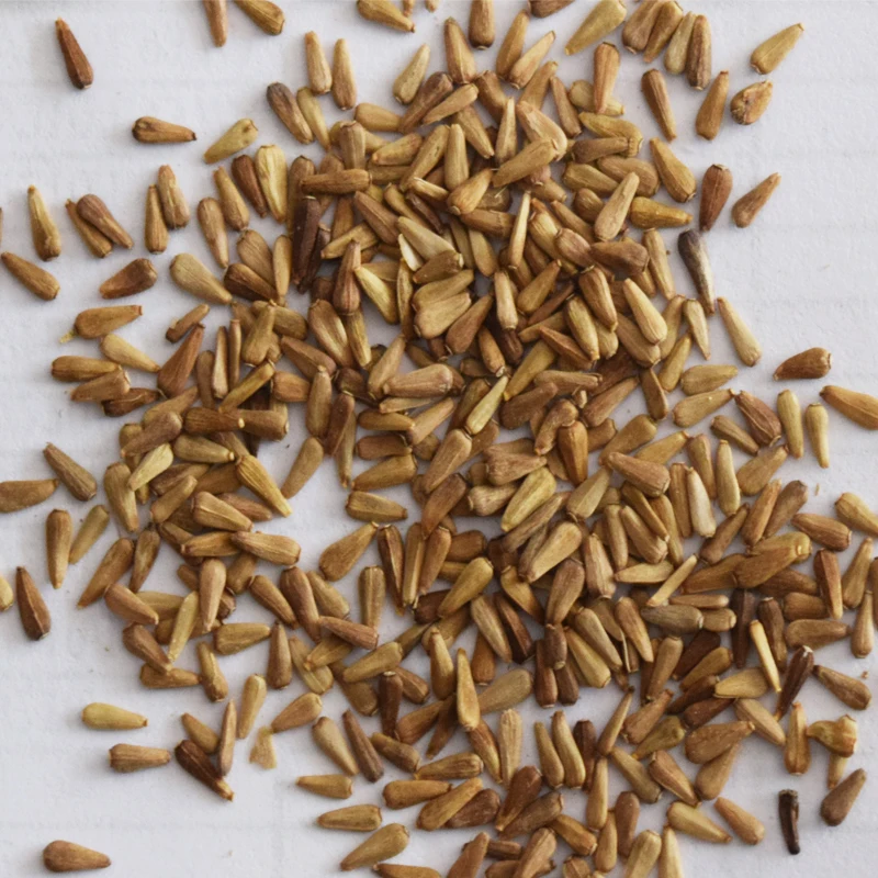 
Hot Sale Different Kinds of China Aster Seeds Callistephus Chinensis Flowers Seeds 