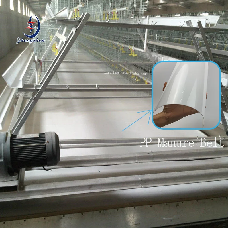 Customization Chicken Manure Conveyor Belt Poultry Manure Conveyor Belt For Layer Chicken Cage