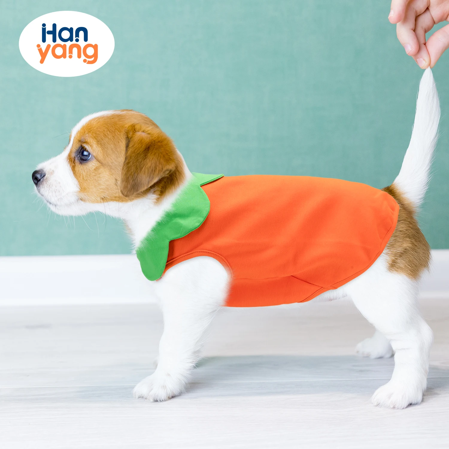 HanYang OEM Custom Wholesale Dog Outfits Pet Clothes Fashion Designer Summer Thin Shirt Apparel Pets Dog Clothes