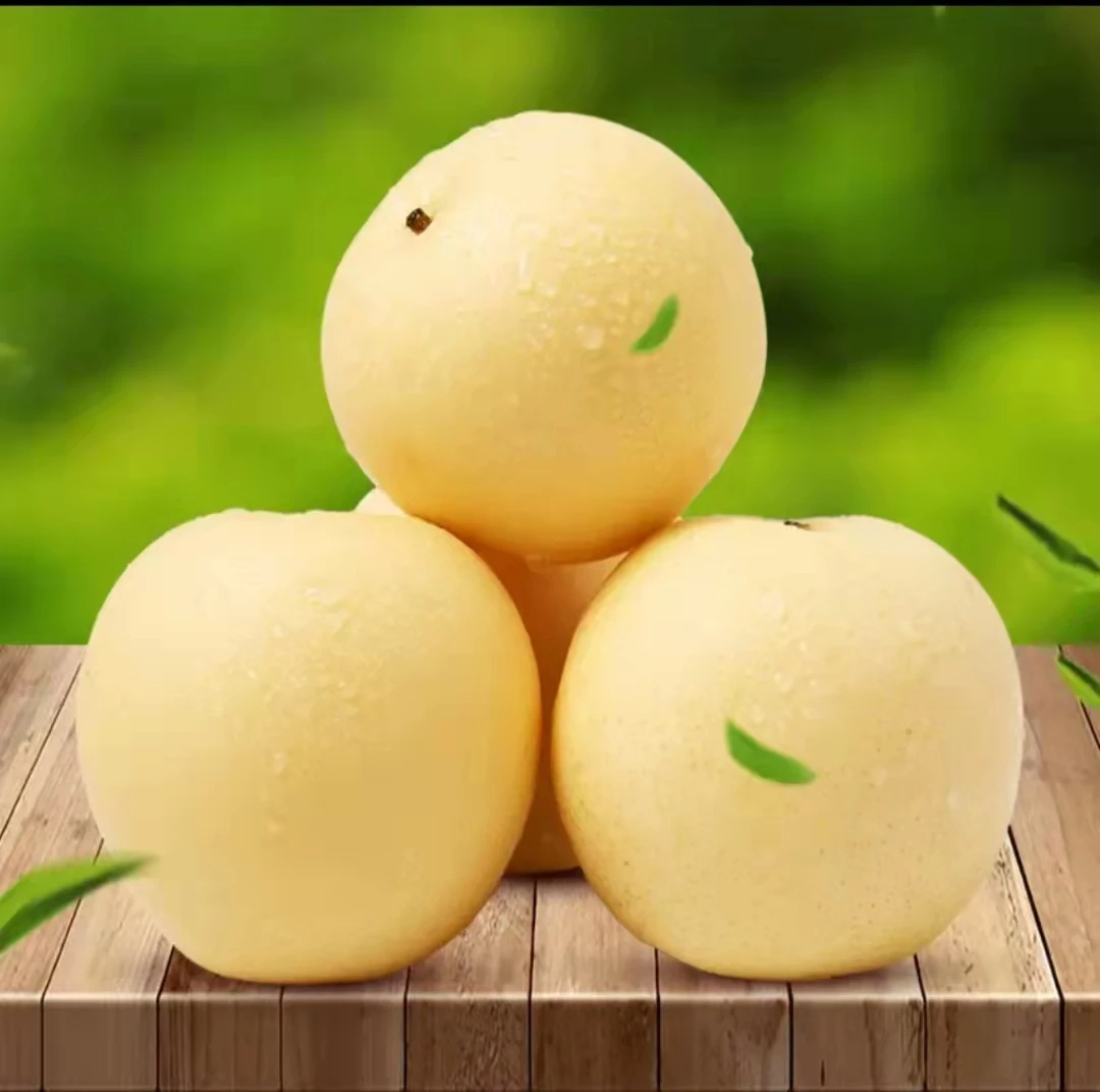 The famous delicious natural fresh pear wholesale price