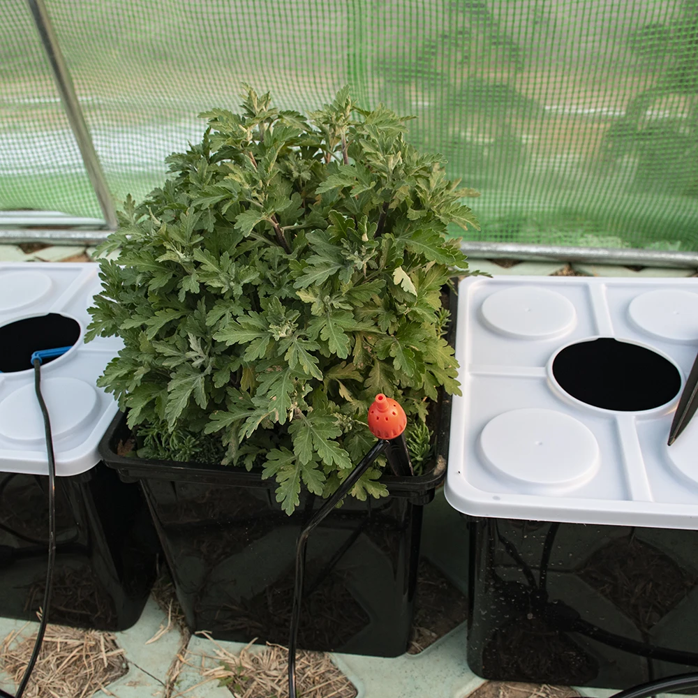 China Wholesale Gardenhouse Gardening Mini Greenhouse For Flower