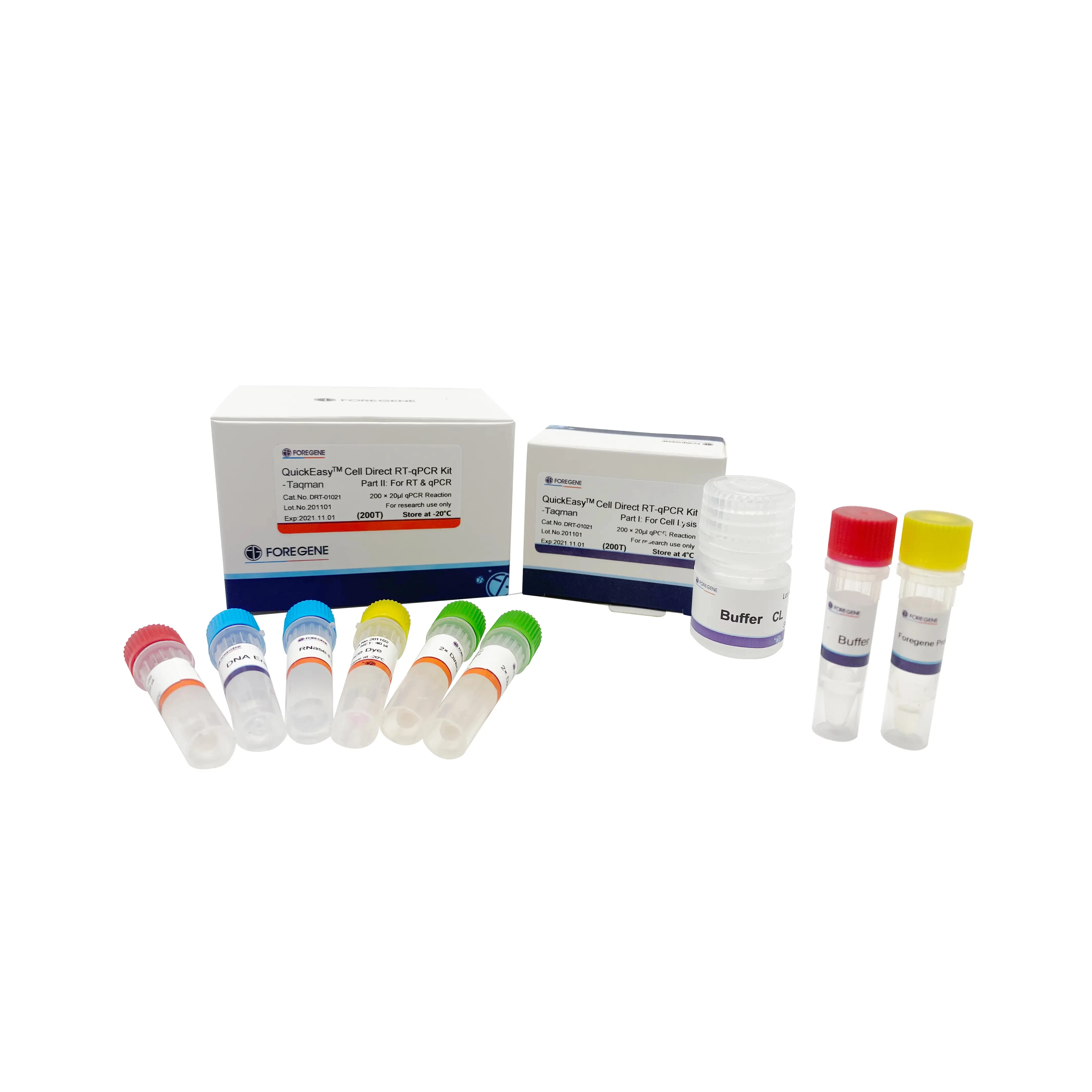 Chinese factory supply molecular biology reagent Cell Direct RT qPCR Kit-Taqman for gene regulation and expression analysis
