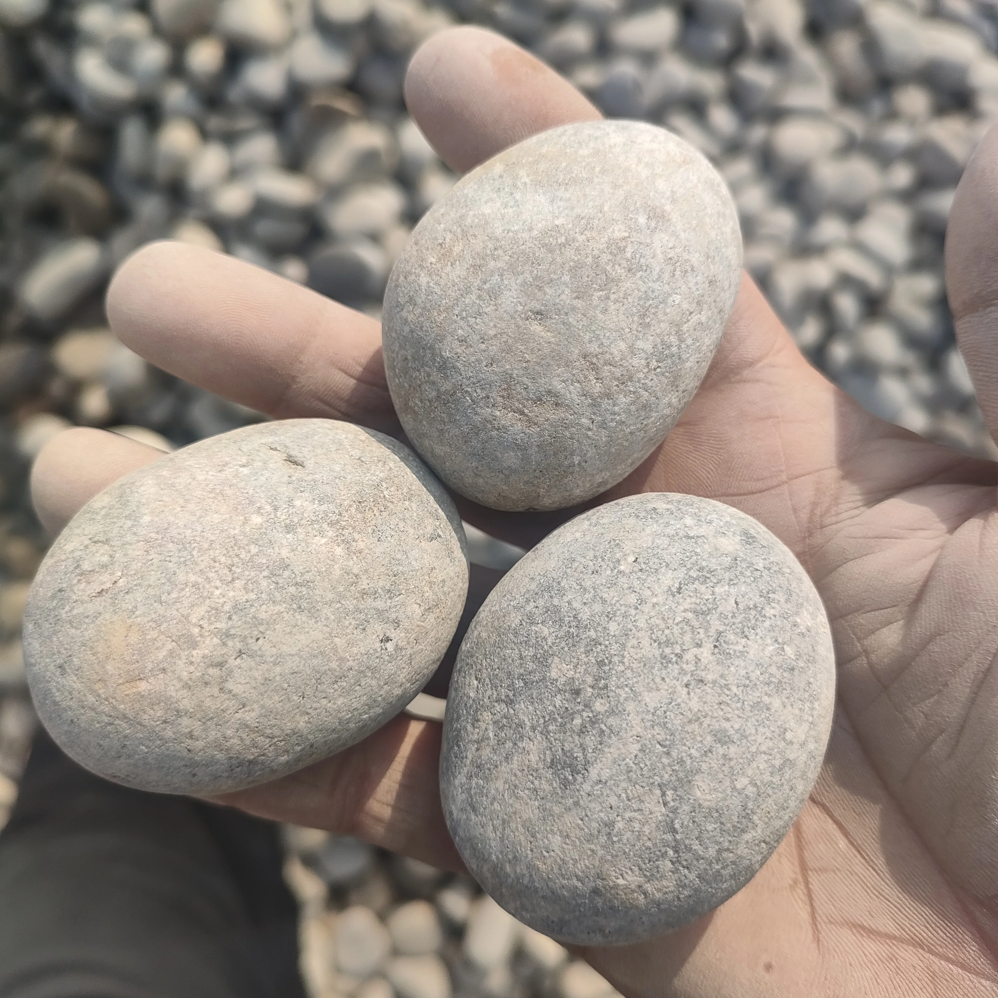High quality 3-5cm grey cobble paving stone natural river beach pebble and cobble stone for Garden paving