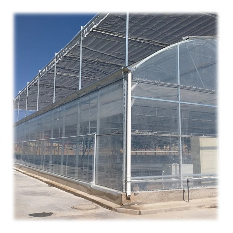 Trinog Greenhouse Multi-span agricultural nft hydroponic farm plastic film greenhouses for melon planting