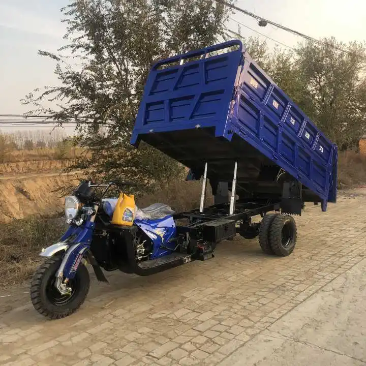 Новый стиль 300cc трехколесный мотоцикл пассажирский и грузовой топливный бензин