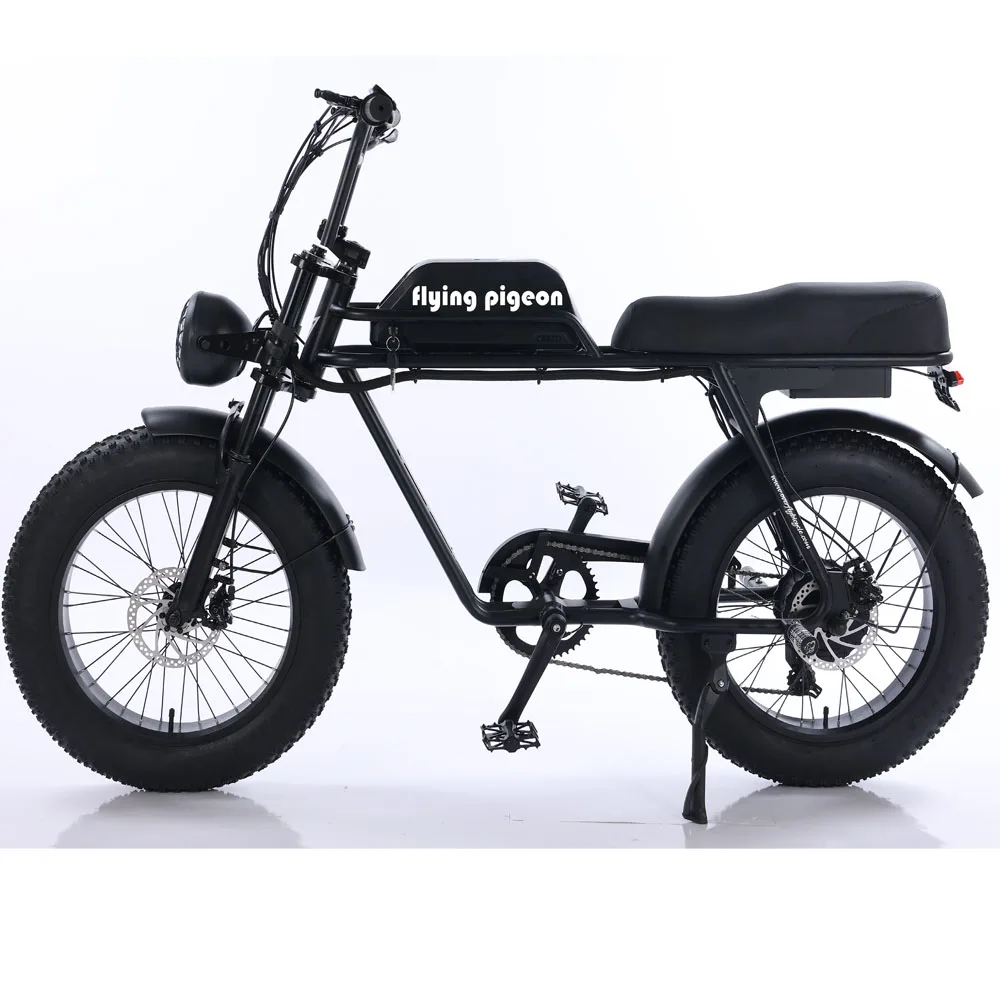 2023 Fat tire electric bicycle (FP-EB23006)