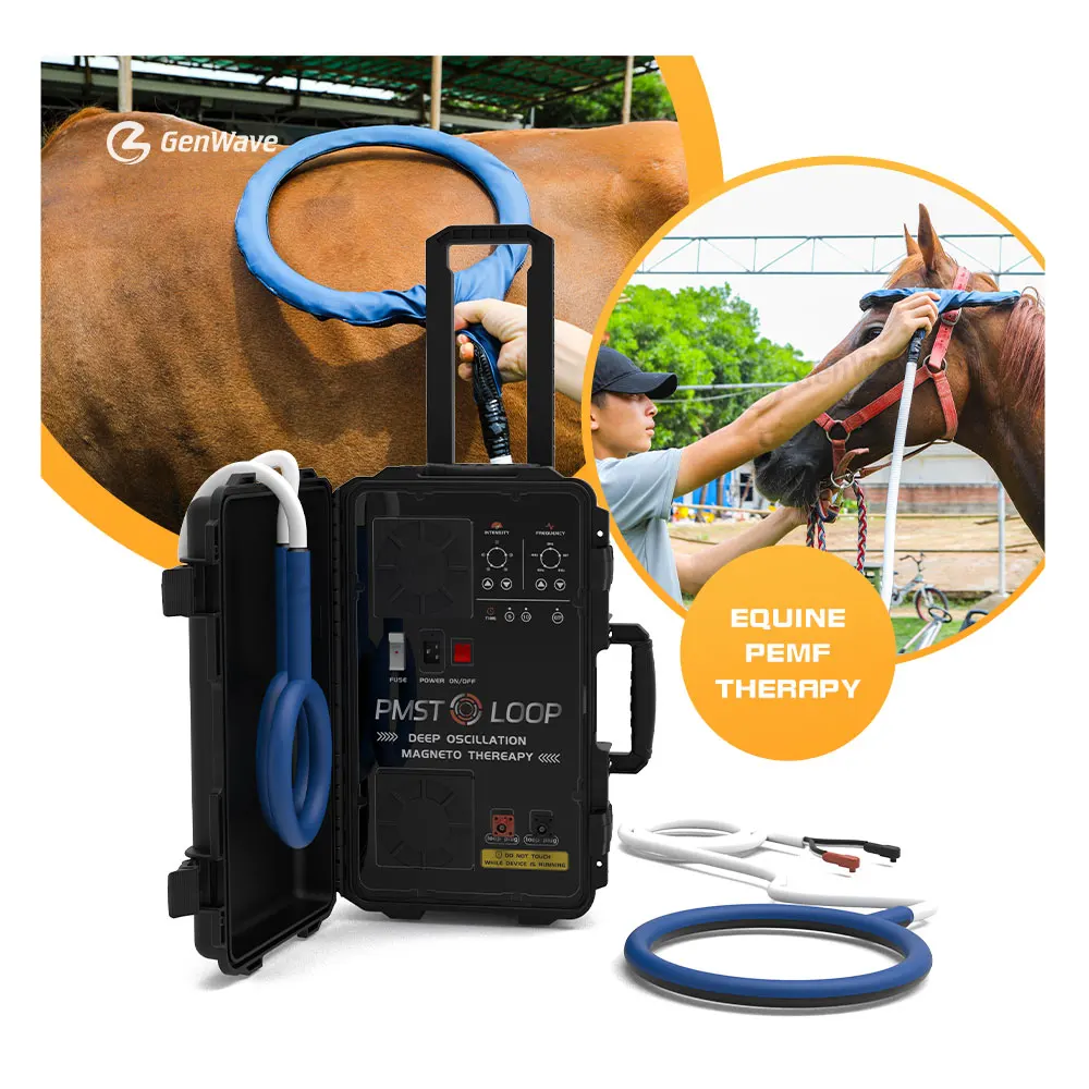 Equine PMST LOOP PEMF Electromagnetic Field Therapy Safe and Effective Treatment Reduces Pain Swelling Soreness In Horses