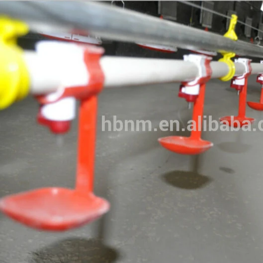 2019 poultry processing slaughtering equipment