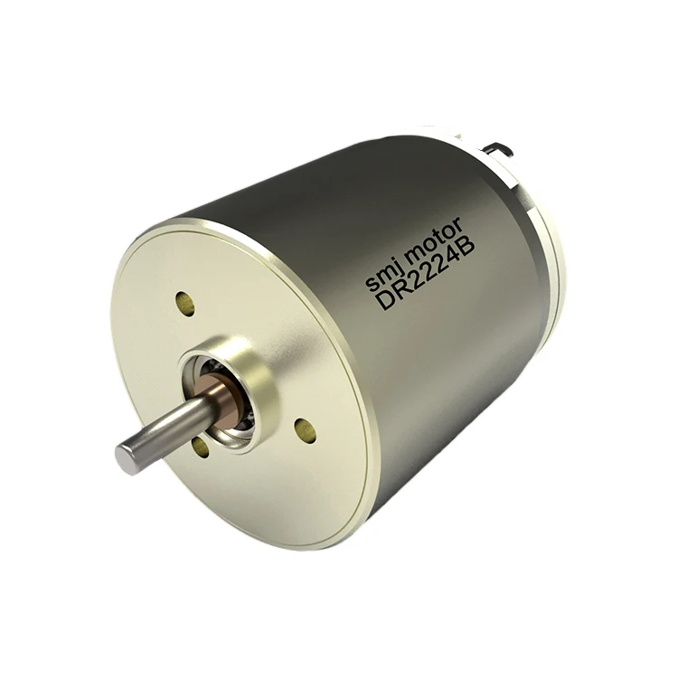 Proper price top quality  dc carbon brush motor 12v drone motor