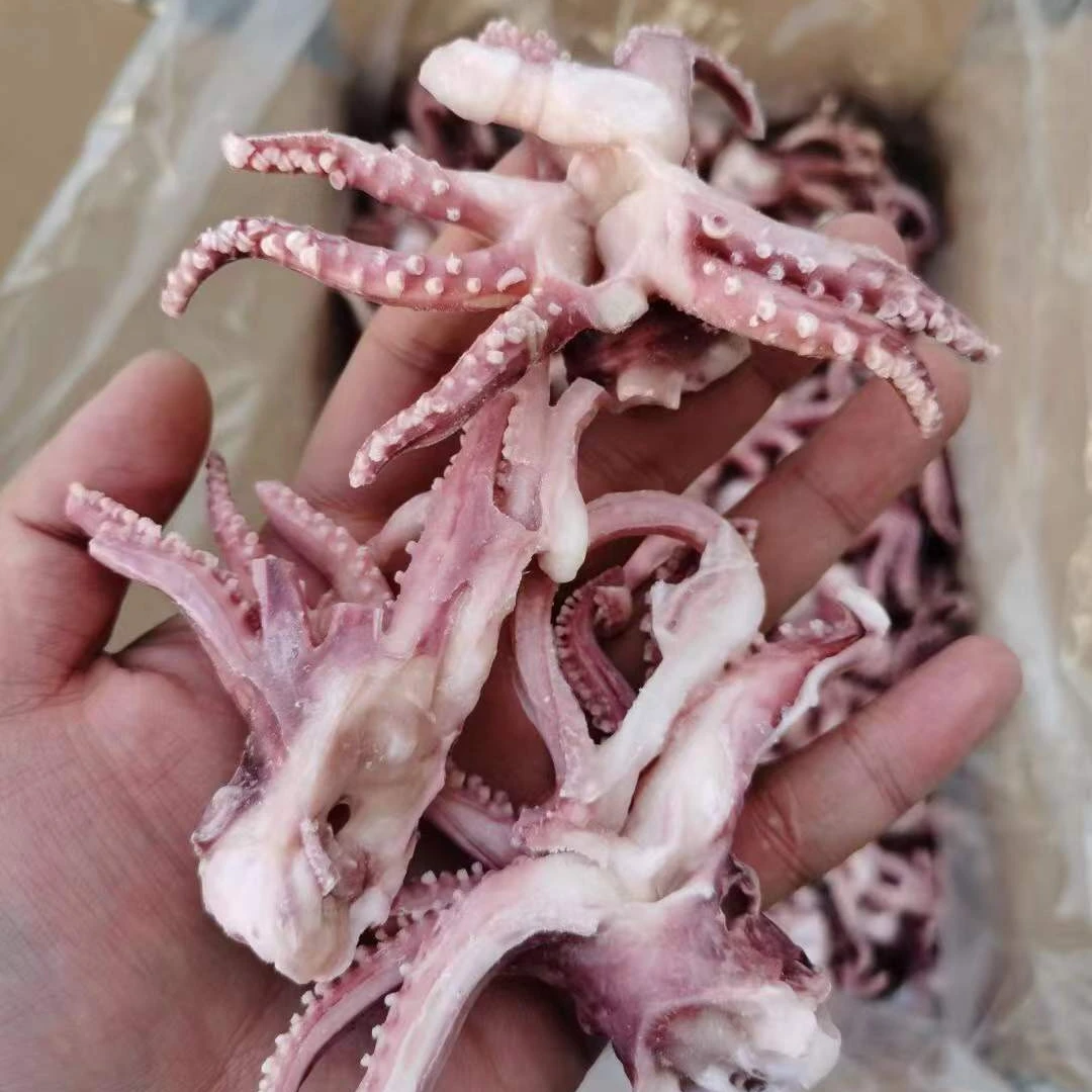 High Quality Seafood IQF Frozen Squid Head/Squid Head with Tentacle for Sale