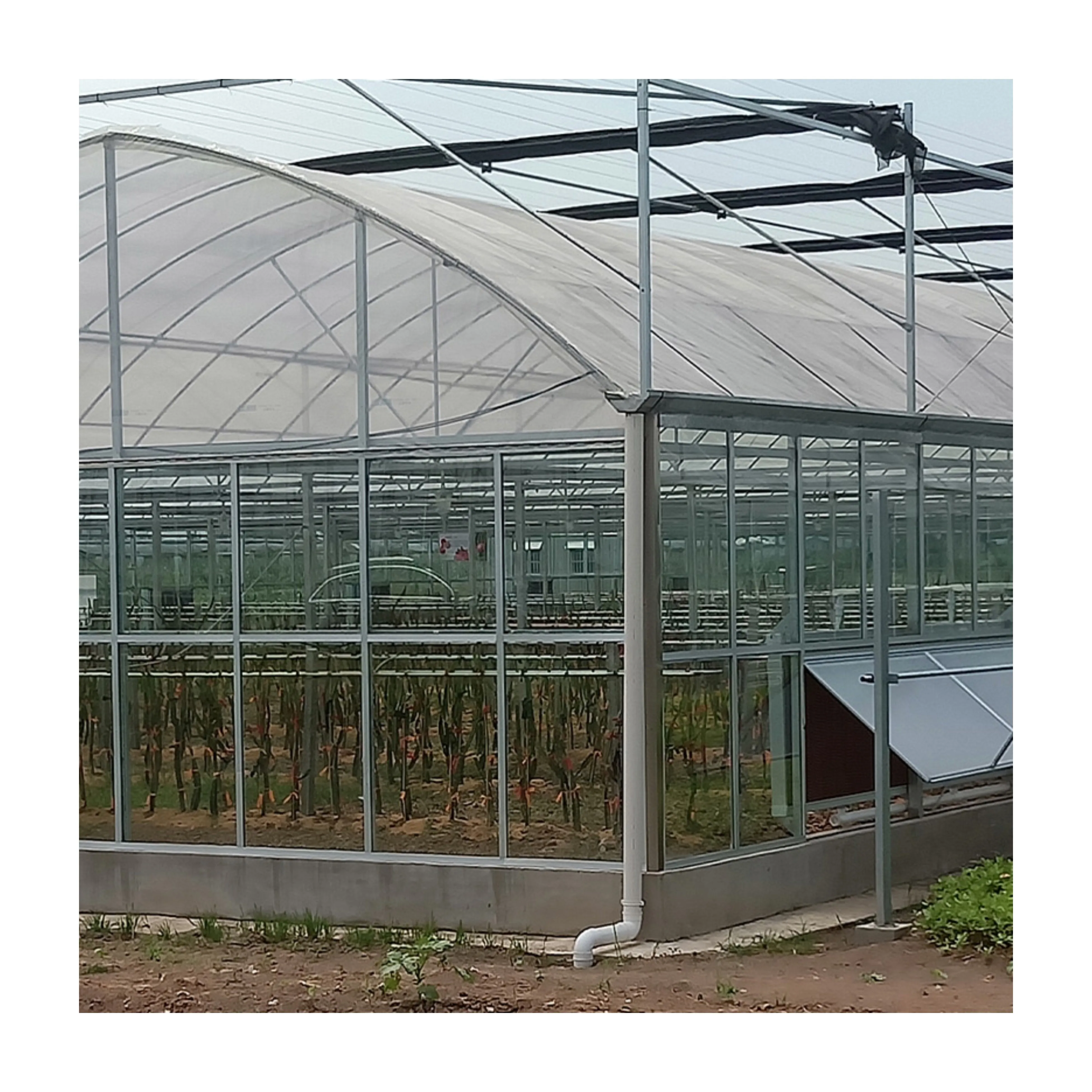 Greenhouse large span 6m, 8m, 10m agricultural tomato greenhouse / Tunnel Greenhouse with shading system