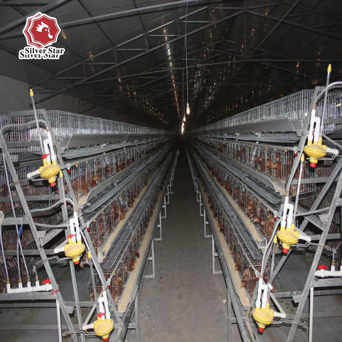 Silver star chicken egg layer cages with full accessory for poultry shed