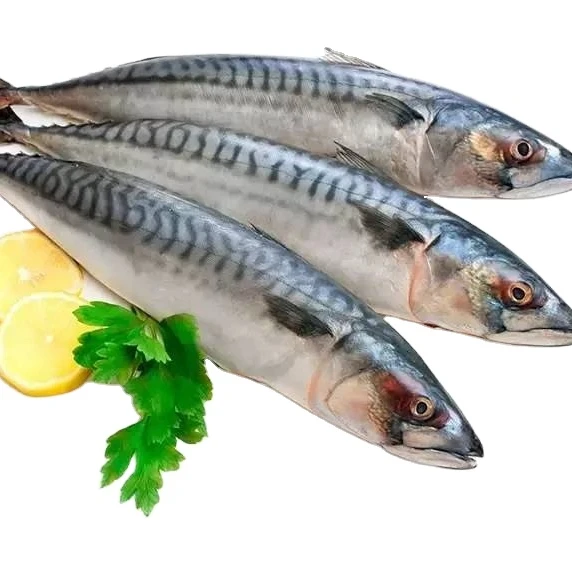Wholesale Promotional Fast Delivery Sea Food Frozen Pacific Mackerel Fish Whole Round