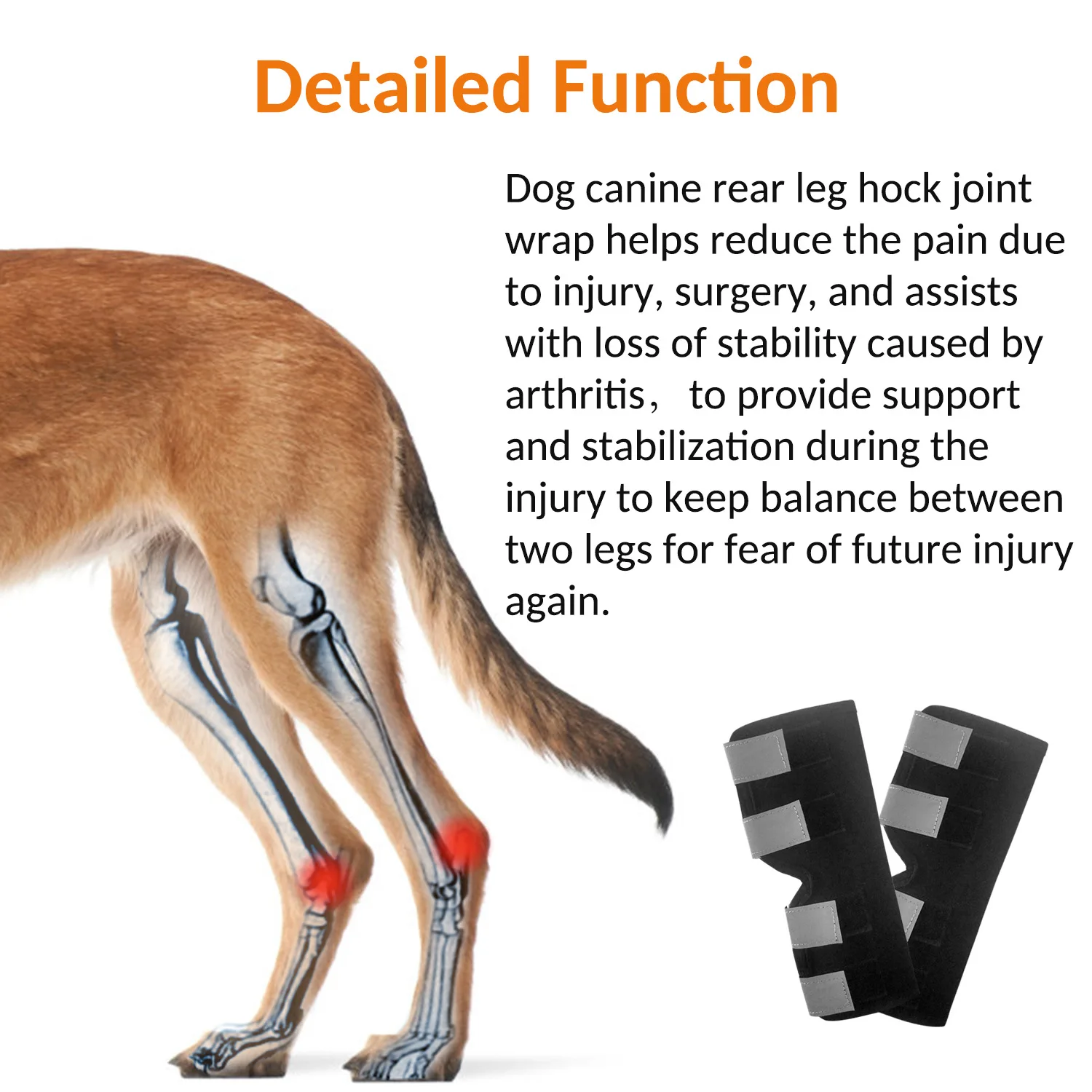 Amazon Hot Selling Customize  Recovery Protector Dog Knee Brace Orthopedic Dog Leg Brace Rear Hock