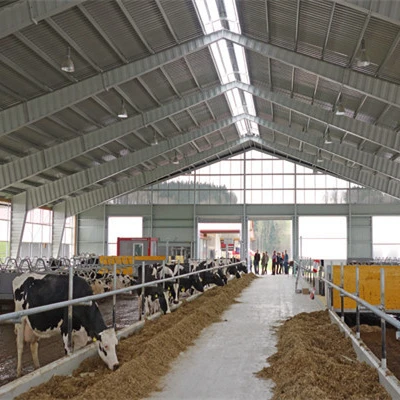 Metal steel structure Poultry farm building stockshed