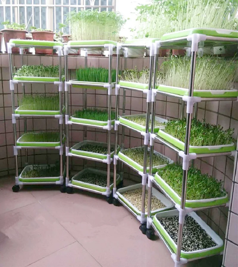 Hot sale Skyplant plants growing nursery seeding fodder trays for hydroponics