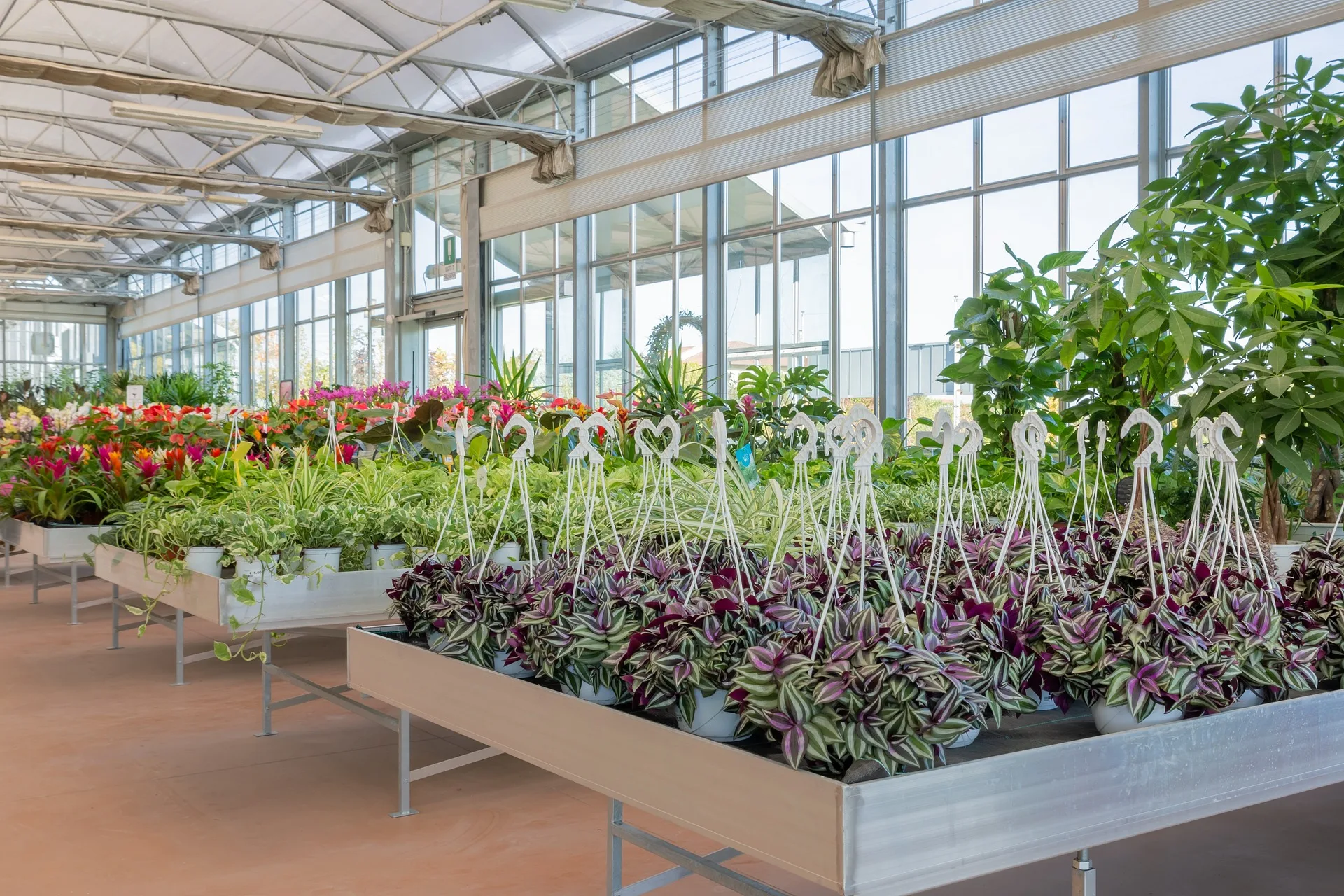 Modern Outdoor Waterproof Pergola for Farming and Plant Growth Green House Agricultural Glass Greenhouse