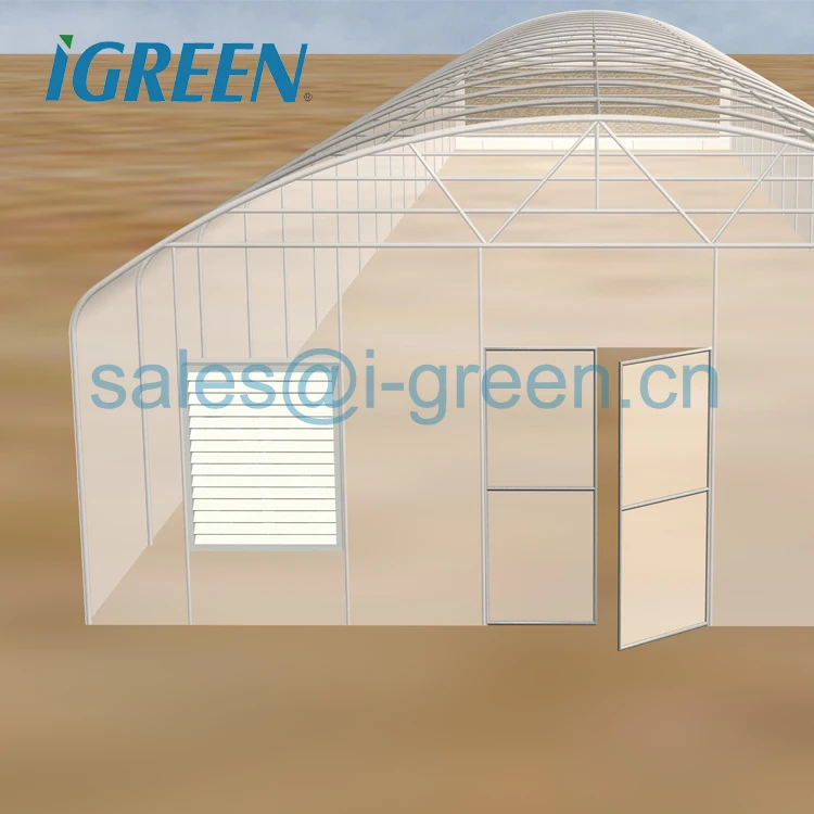 Single tunnel straight wall polycarbonate sheet vegetable greenhouse from China for tractor to go through
