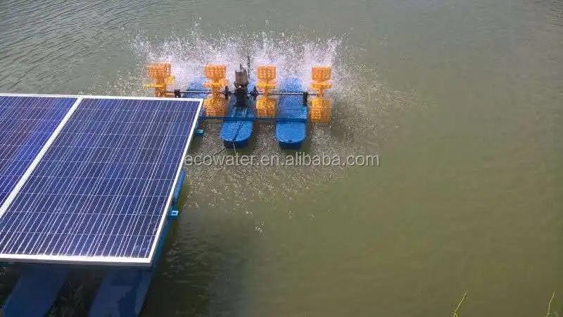 Ecoaquaculture solar panels powered paddle wheel aerator, solar aerator