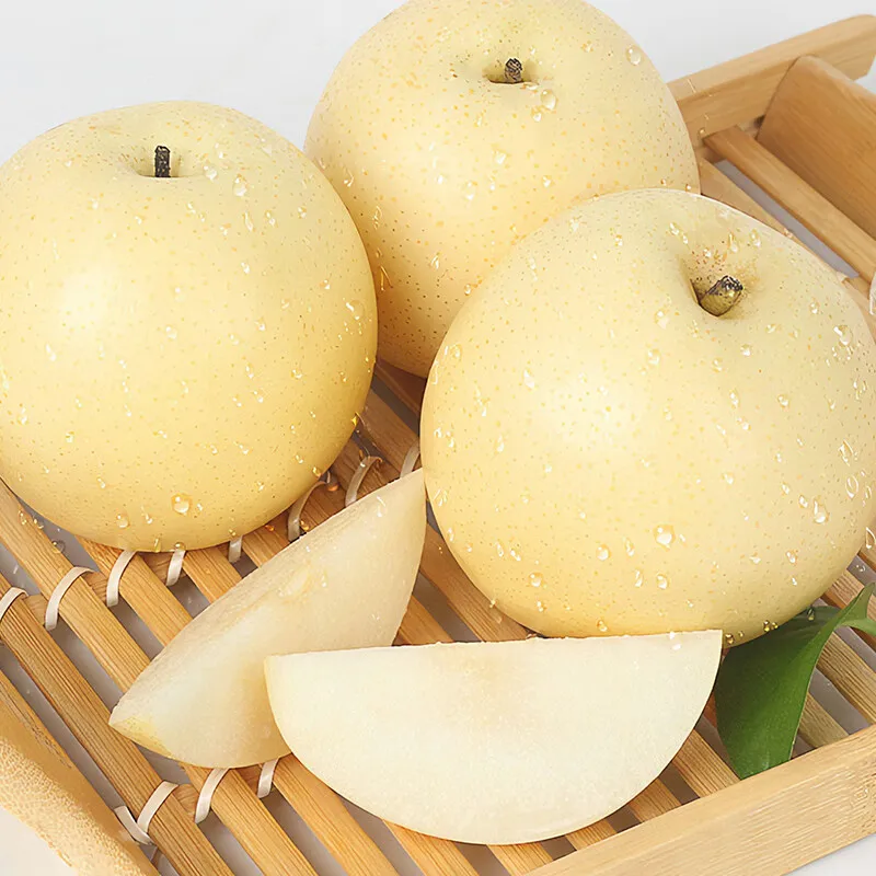 High quality of Chinese pear fruit crown pear new crop fresh pears price for Russia and Ecuador export from China