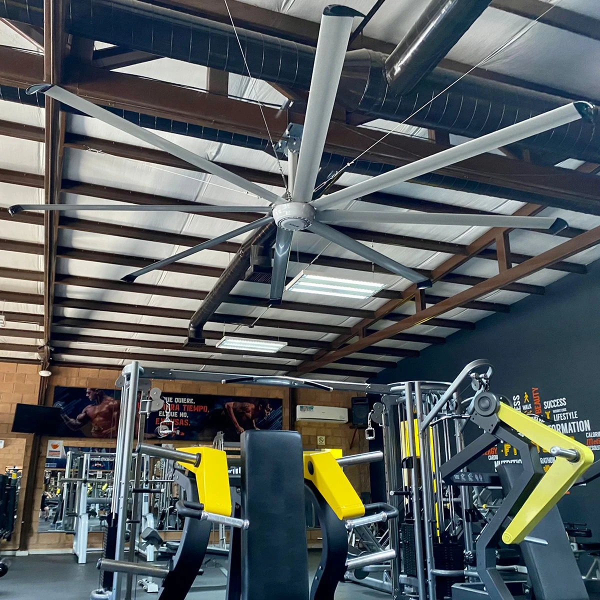 Big Wind 14 Foot 4.2m Outdoor Commercial Ceiling Fan for Office