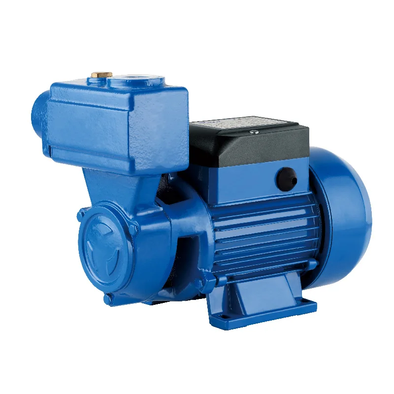 Booster Pump For Household Use Cast Iron Electric Self Suction Water Pump