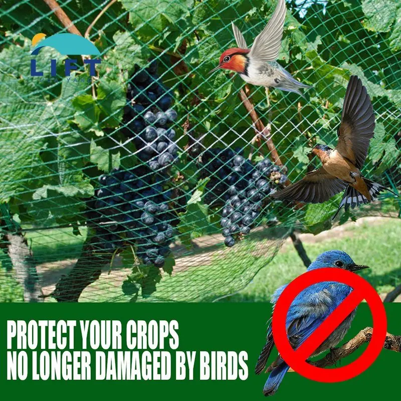 Agro plastic net anti-bird net garden bird netting wholesale garden new nylon anti bird netting