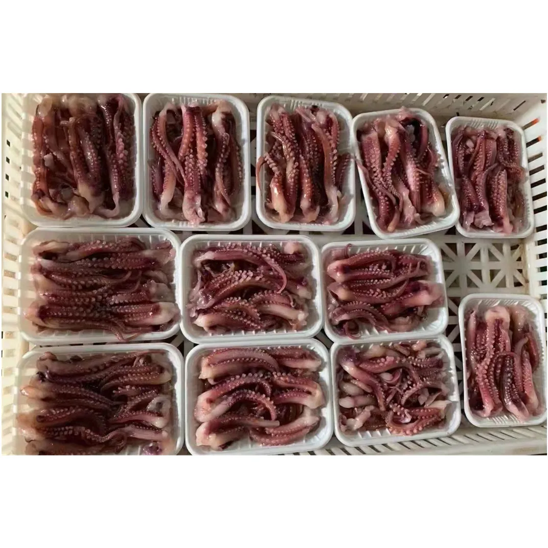 fresh new processing hot sale Indian ocean squid meat frozen squid tentacle