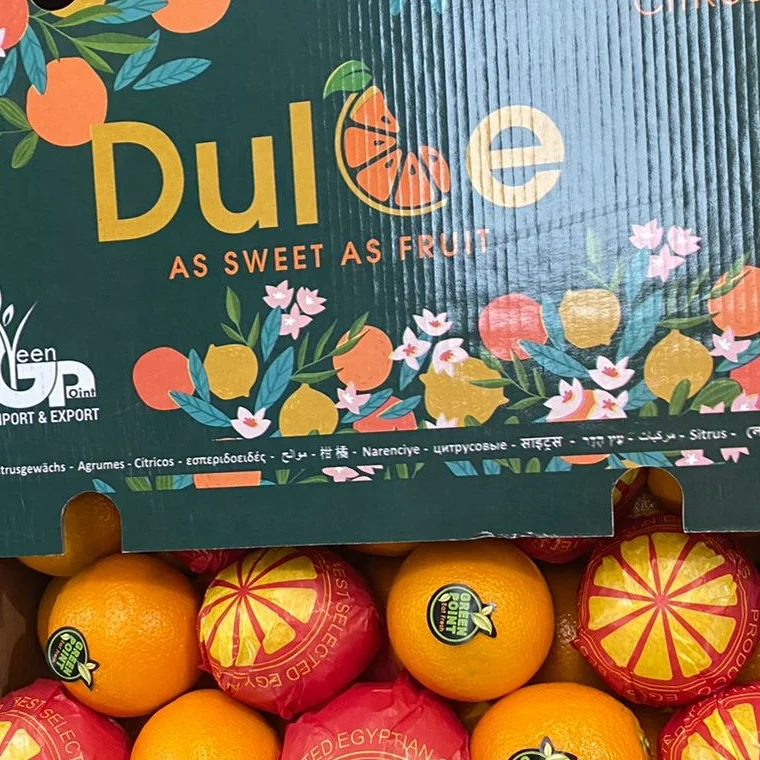 Fresh Valencia orange for sale