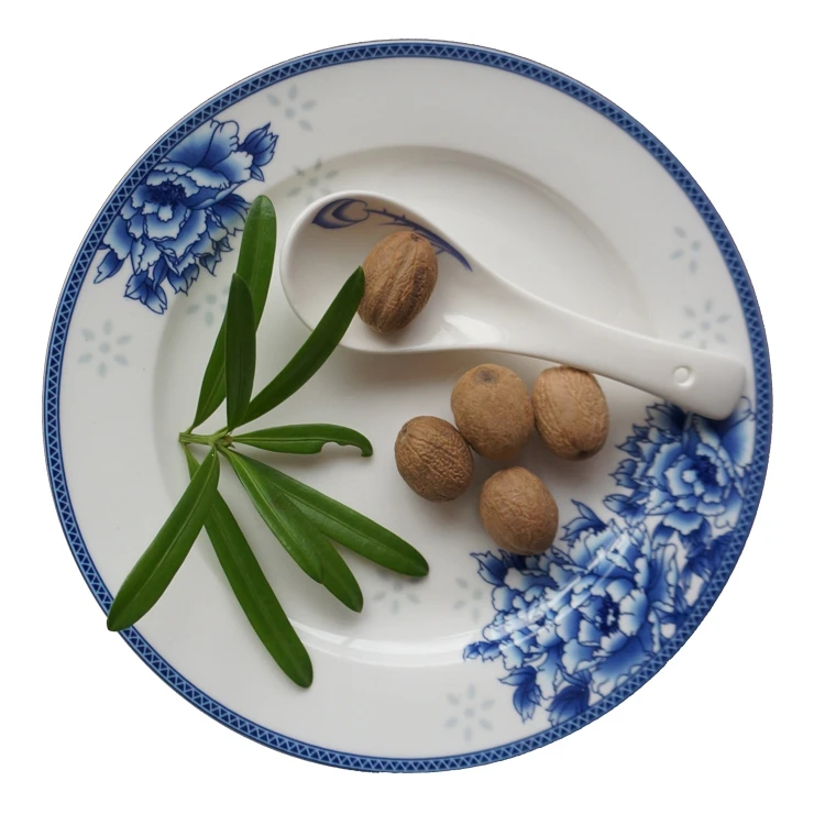 
China spices&herbs supplier wholesales spices raw material nutmeg seeds nutmeg mace with high Quality and low price 