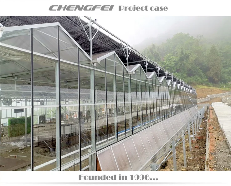 Multi-span Glass Electric Steel Pipe Tube Bending Machine Rebar Bender in Philippines For Vegetable Greenhouse Garden
