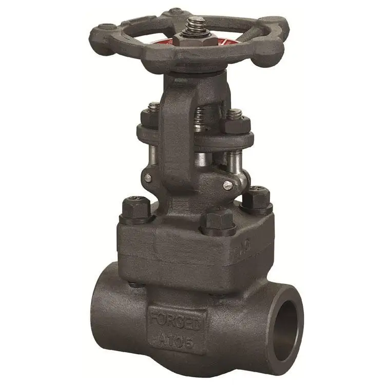 Threaded and SW Socket Weld Gate Valve Stainless Steel Forged Steel A105 F6a API 602 OS&Y CL150 Material Female Black Pipe OEM