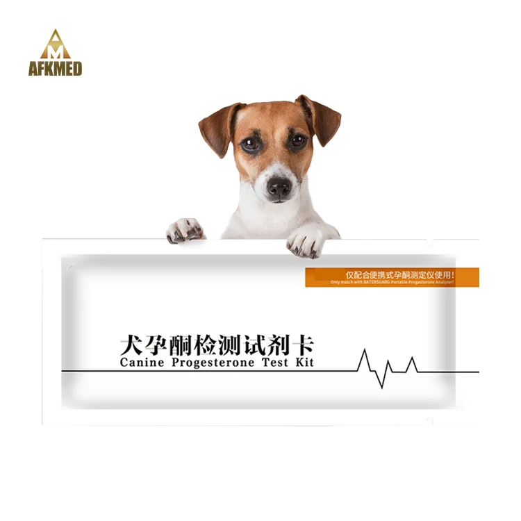 Veterinary Hospital Poct Canine Pregnancy Test Analyzer immunoassay  Pregnancy Test Machine For Pregnancy Dog