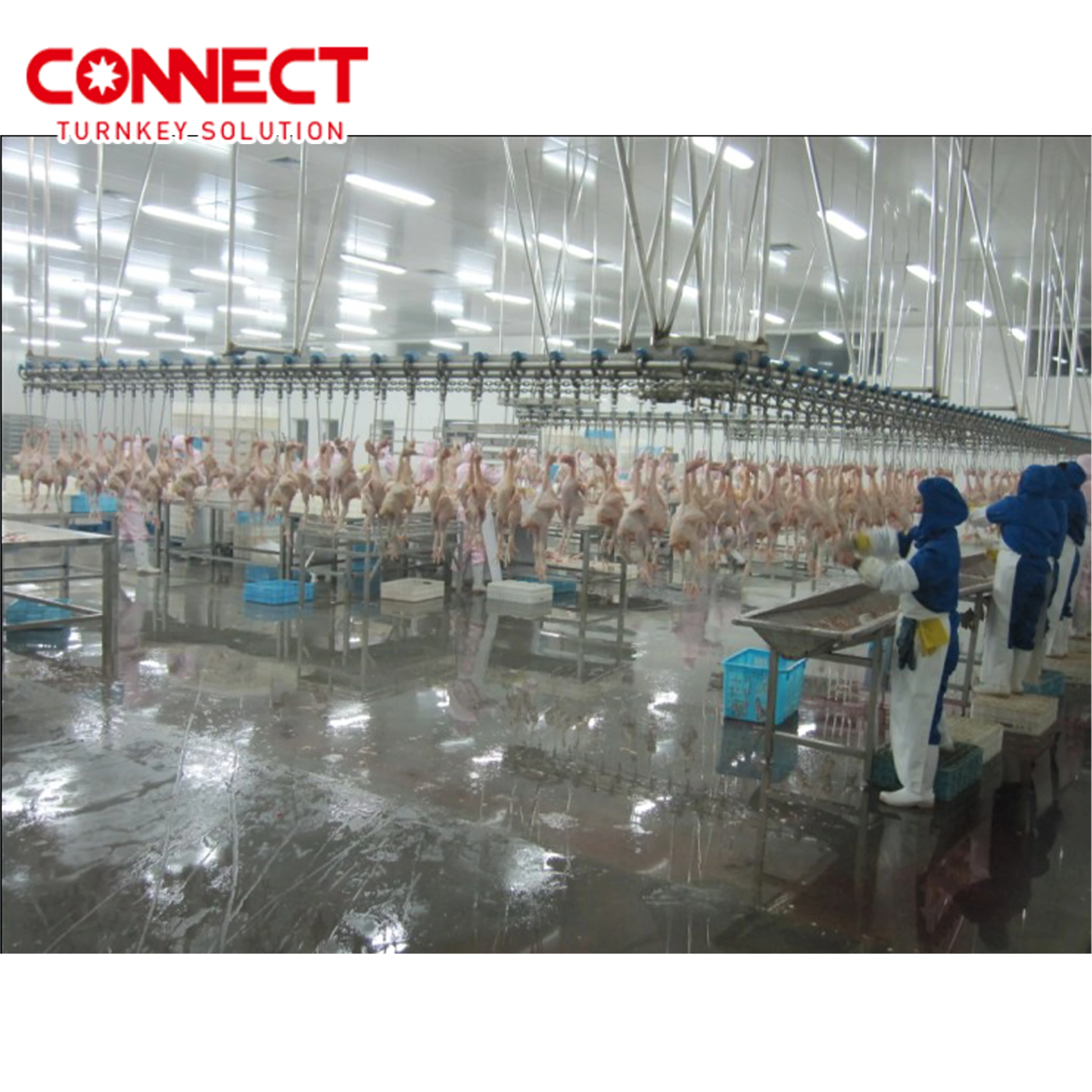 Chicken Feet Processing Chicken Killing Poultry Slaughter Line Chicken Equipment Poultry