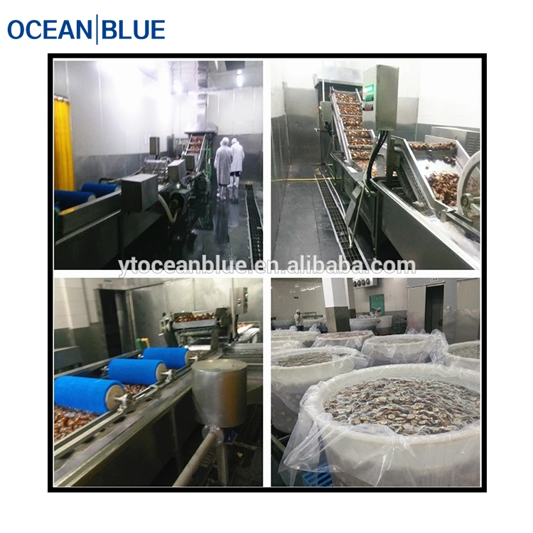 Fish and Meat IQF  Industrial Freezing Equipment