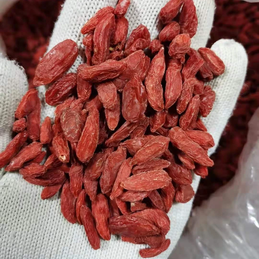 
2021 Hot Selling High Quality Sulfur Free Chinese Dried Chinese Red Wolfberry FD Cool Dry Place Sweet from CN 