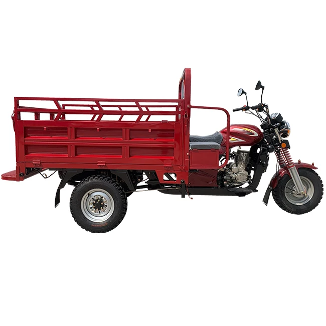 Professional Cheap Cargo Petrol Tricycle Motorcycle 3 Wheels Motorcycle Manufacturer China