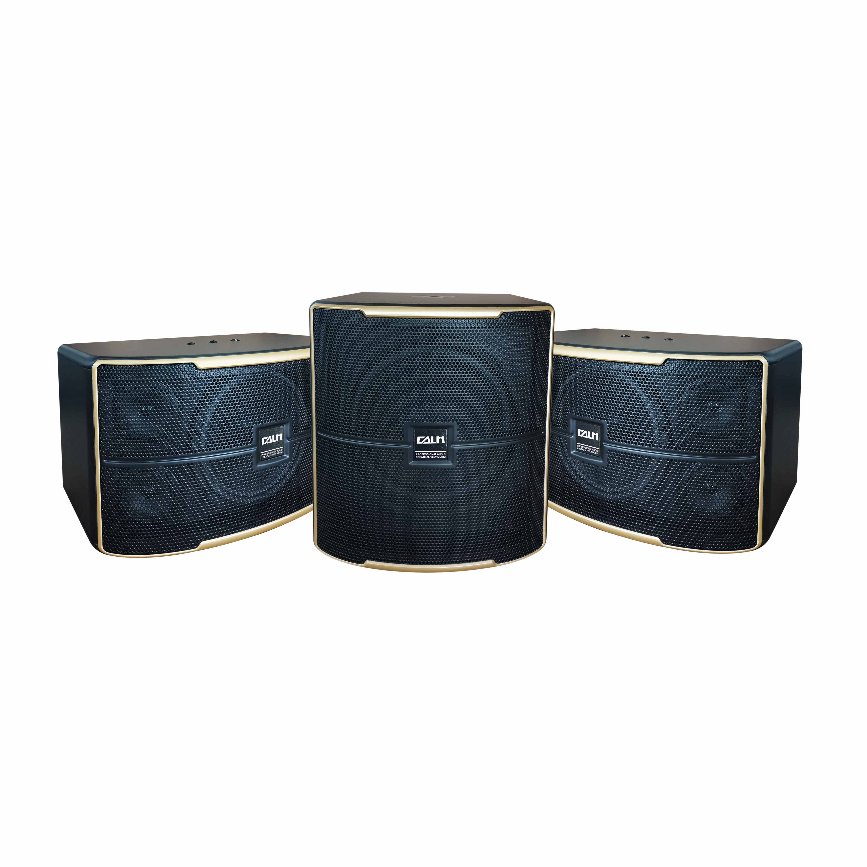 Hot sell professional full range 10 Inch performance Karaoke speaker K510-JB