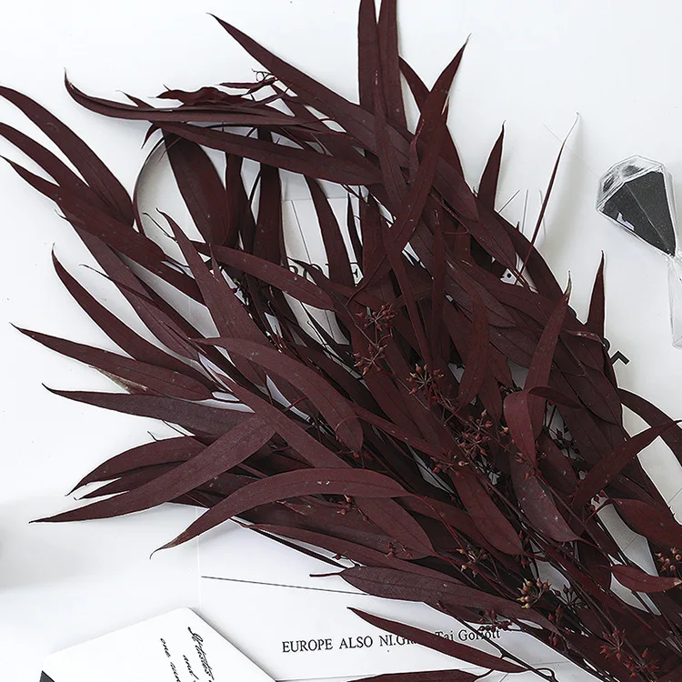 Factory supply Wholesale preserved eucalyptus seeded willow eucalyptus real touch dried eucalyptus