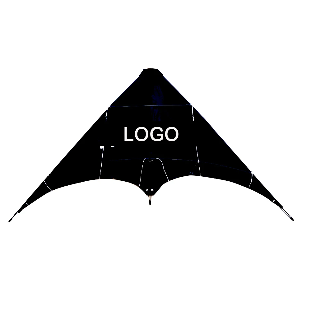 
Fancy cometa stunt kite customized 