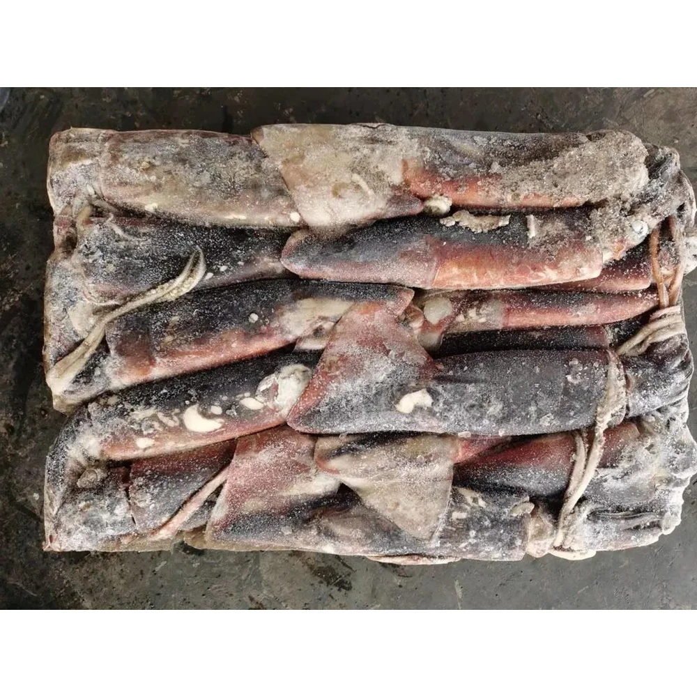 High quality gigas squid frozen white squid 22cm 12cm illex squid price