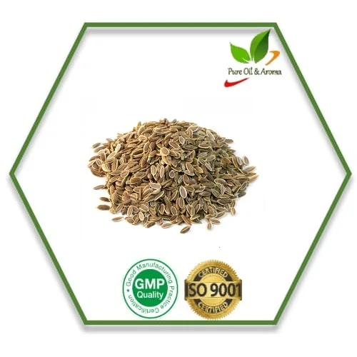 Dill Seed Essential Oil Manufacturer
