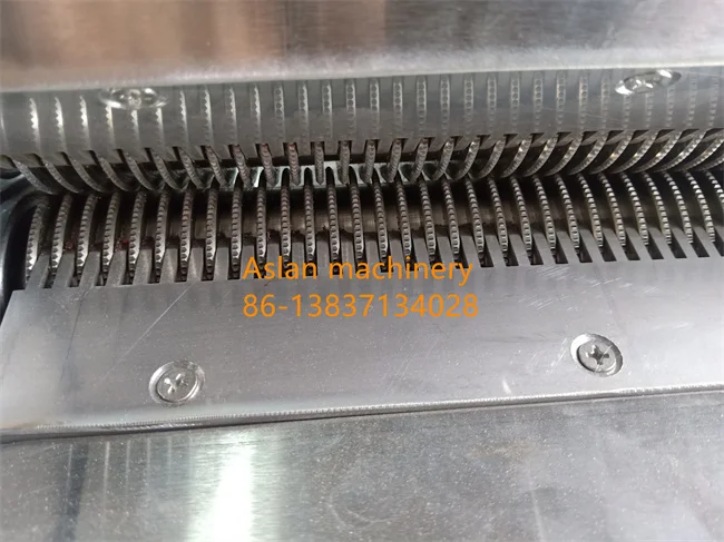 squid machines10.jpg