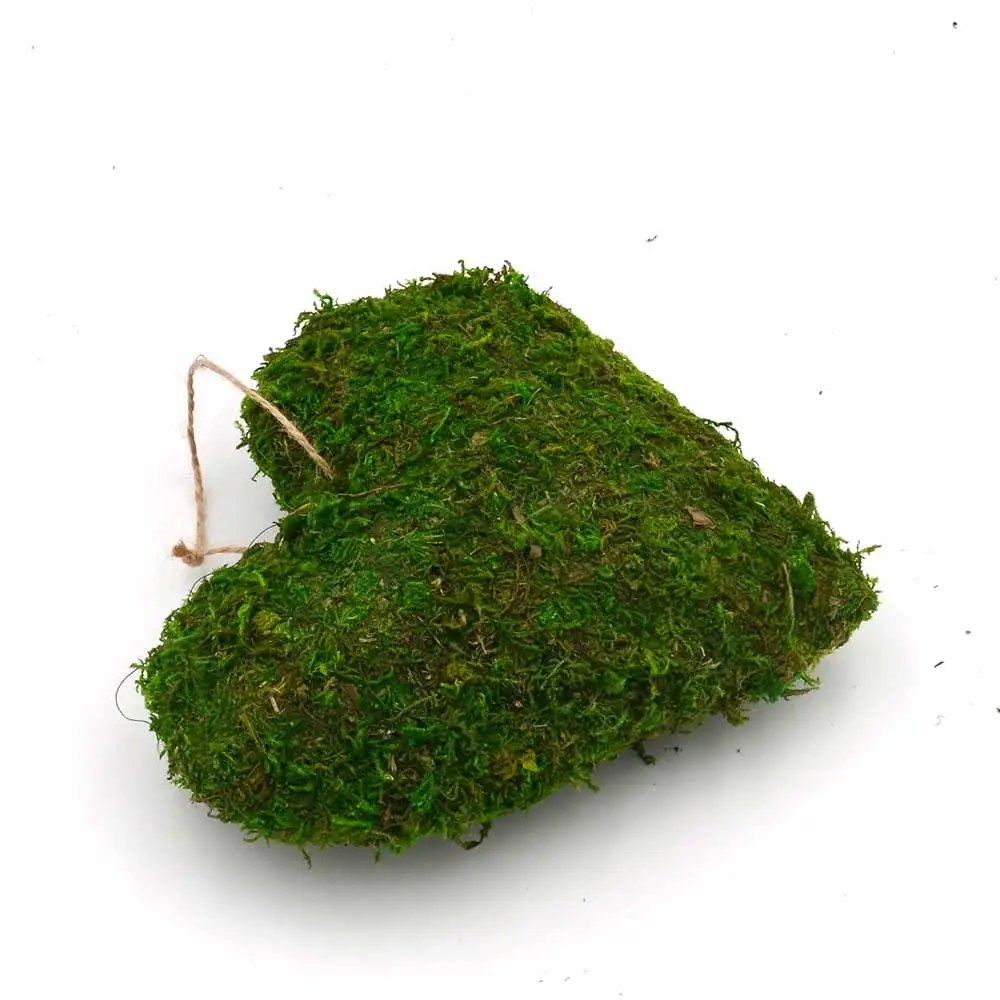 
heart-shaped Three-dimensional hanging pieces loving heart moss garden decoration hanging 