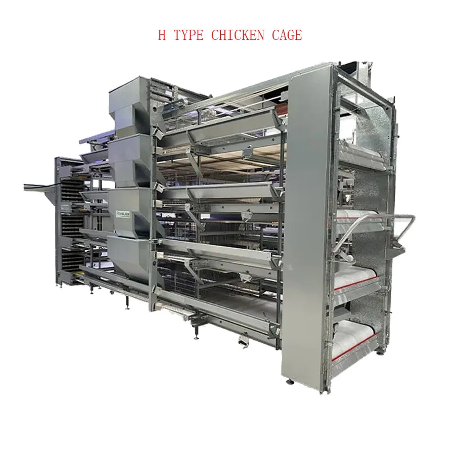 A Type H Type Layer Chicken Hens Cage Poultry Farm Feeder Chicks Broiler Automatic Equipment Chicken Coop Design