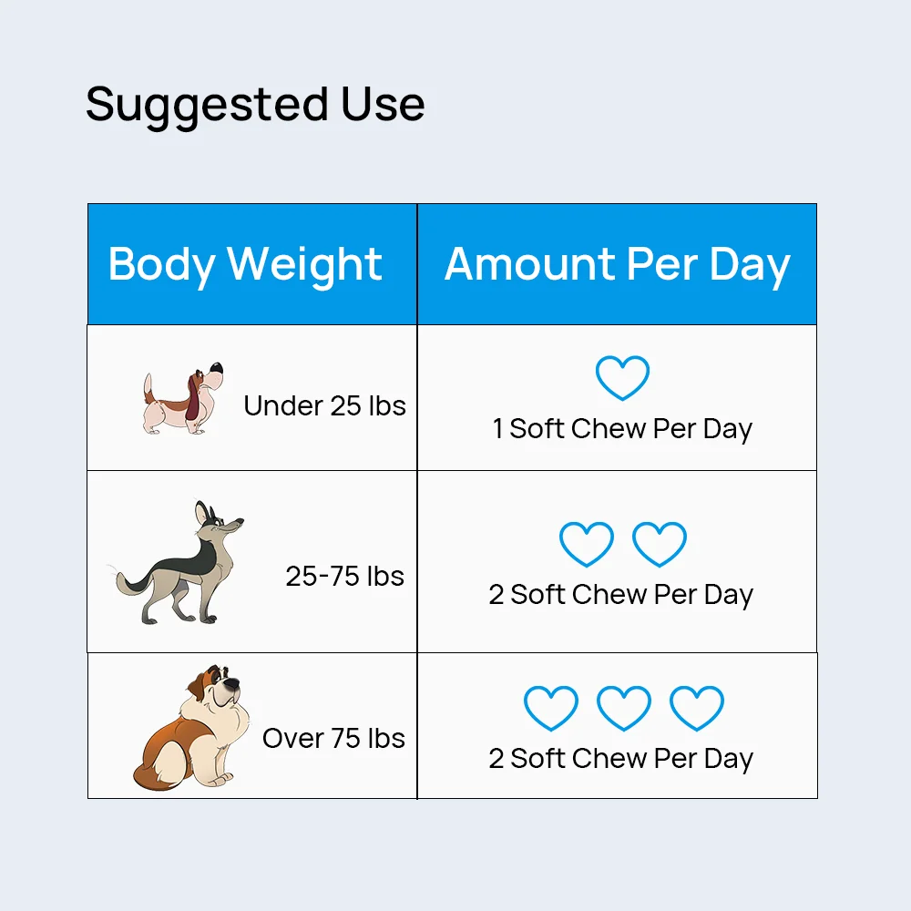 Stomach Guard | OEM/ODM Natural Probiotic Soft Chew Dog Snacks Optimal Intestinal Health Pet Food and Supplement