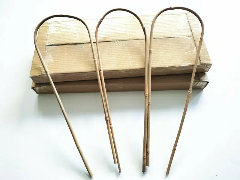 U shape bamboo canes bamboo Plant support and decoration garden plant 48cm/60cm