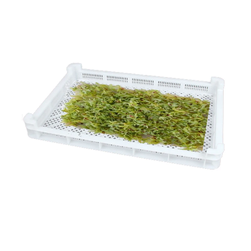 
New type fruit/mushroom/vegetable/drugs /sea cucumber plastic drying tray 